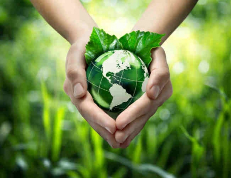 BDMG conclui emissão de título sustentável para financiar projetos ambientais em MG