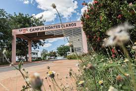 ICA implanta Monitora Covid UFMG para orientar quem visitar campus
