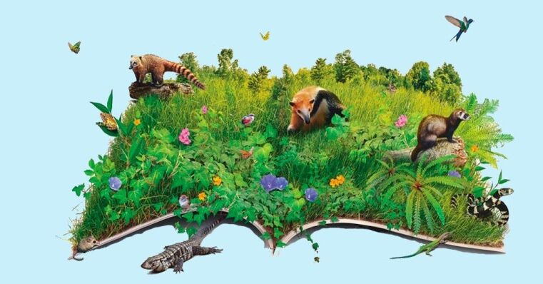 Sabemos de fato o que é biodiversidade? (Parte 2)
