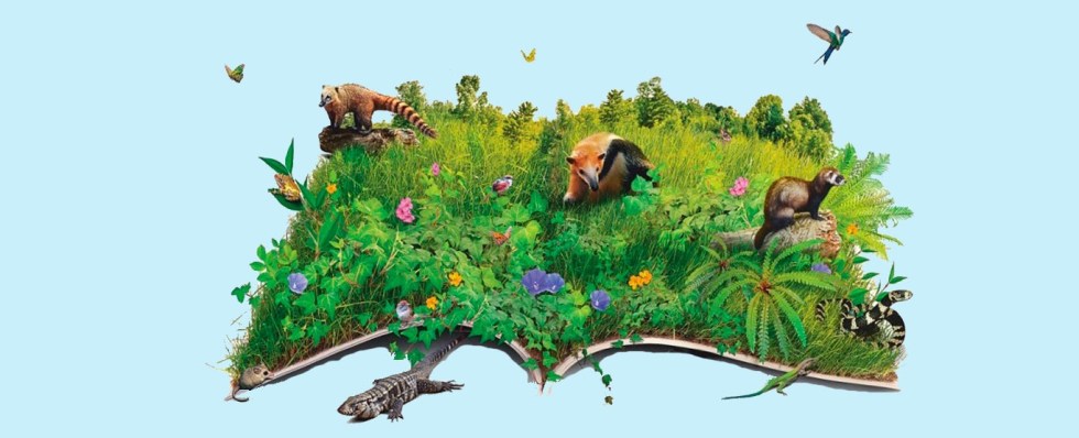 Sabemos de fato o que é biodiversidade? (Parte 2)
