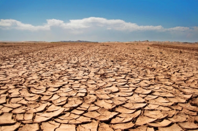 Norte de Minas perde 54,5 toneladas de alimentos por causa da seca
