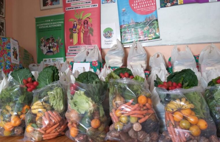 Montes Claros compra R$ 1 mi em alimentos da agricultura familiar