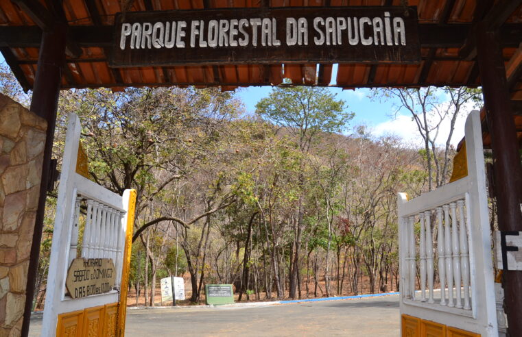 Parque da Sapucaia está sendo revitalizado para ser reaberto ao público