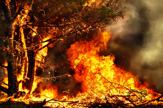 Para evitar queimadas, é preciso investir em conscientização ambiental