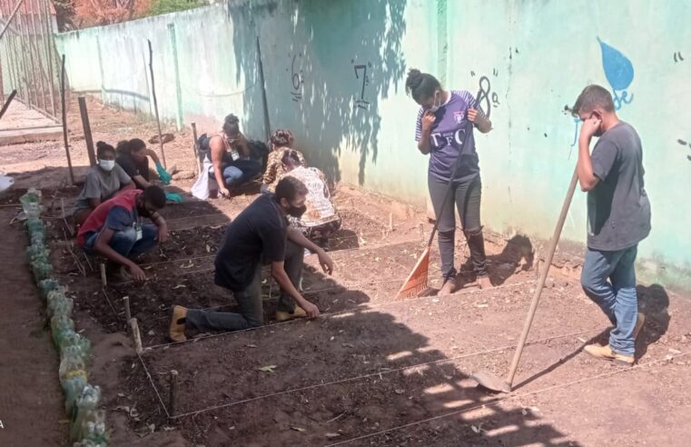 Programa Jovem no Campo em Ubaí foca na Olericultura