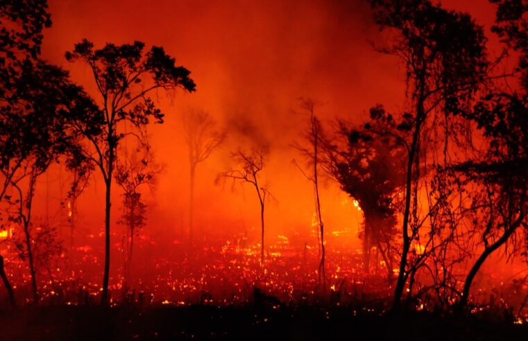 Capacitação de brigadistas previne incêndios na Serra do Espinhaço
