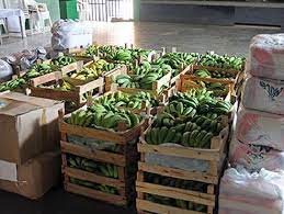Prefeitura de Montes Claros compra alimentos para asilos e abrigos