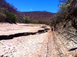Governo Federal faz decreto da situação de emergência da seca em 145 municípios