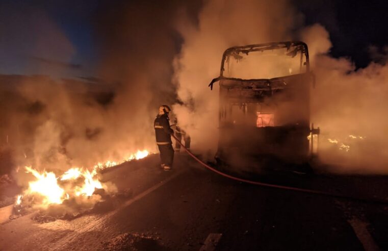 BR-135 | Ônibus fica completamente destruído após pegar fogo