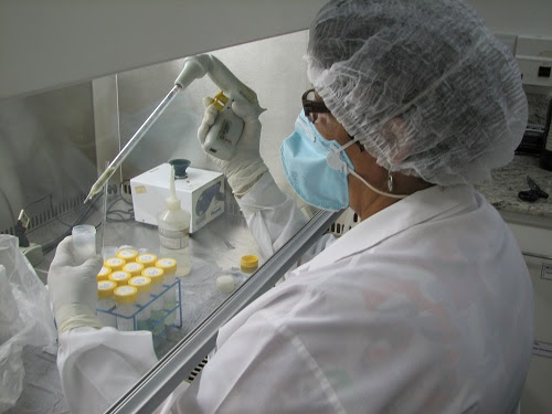 Funed realiza exames para detectar os vírus da Influenza em Minas Gerais