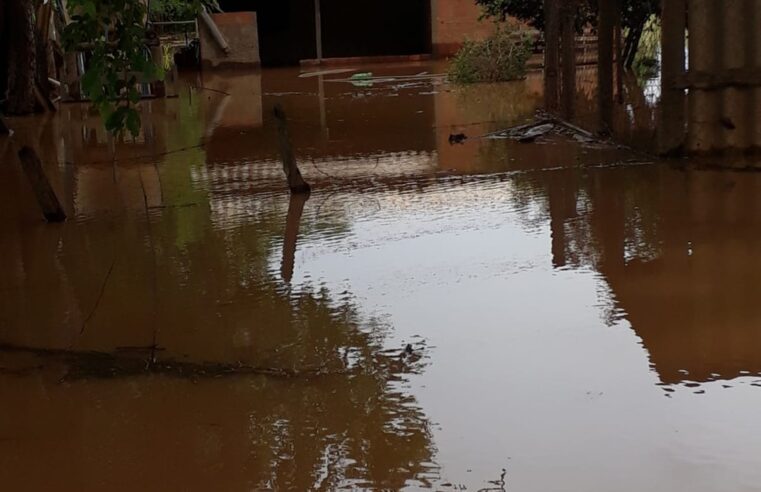 Nível das águas do Rio São Francisco sobe, alaga casas e famílias ribeirinhas são retiradas
