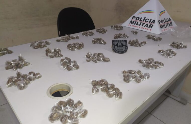 Polícia Militar apreende mais de 200 buchas de maconha em Montes Claros
