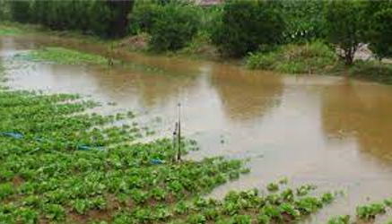 Levantamento nas propriedades rurais pontua problemas causados pelas chuvas em MG