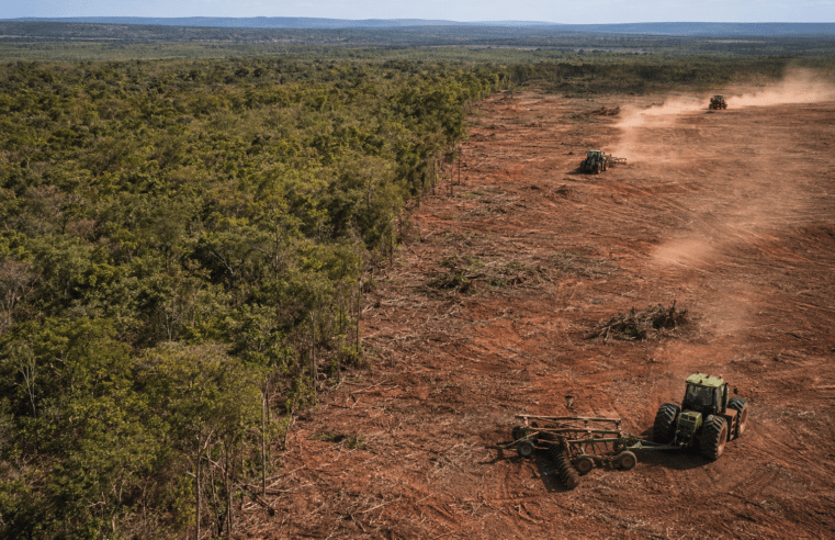 Operação Larga investiga desmatamento de quase 2 mil hectares em área de conservação no Norte de Minas