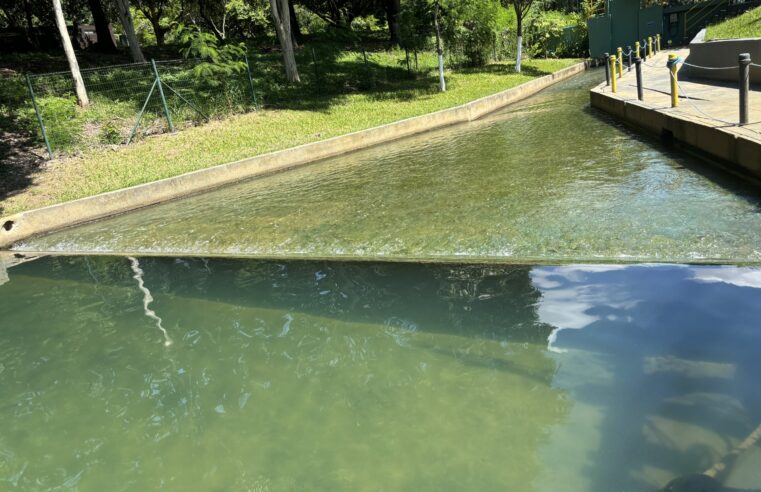 Estação da Copasa trata mais de 70% da água lançada na Lagoa da Pampulha