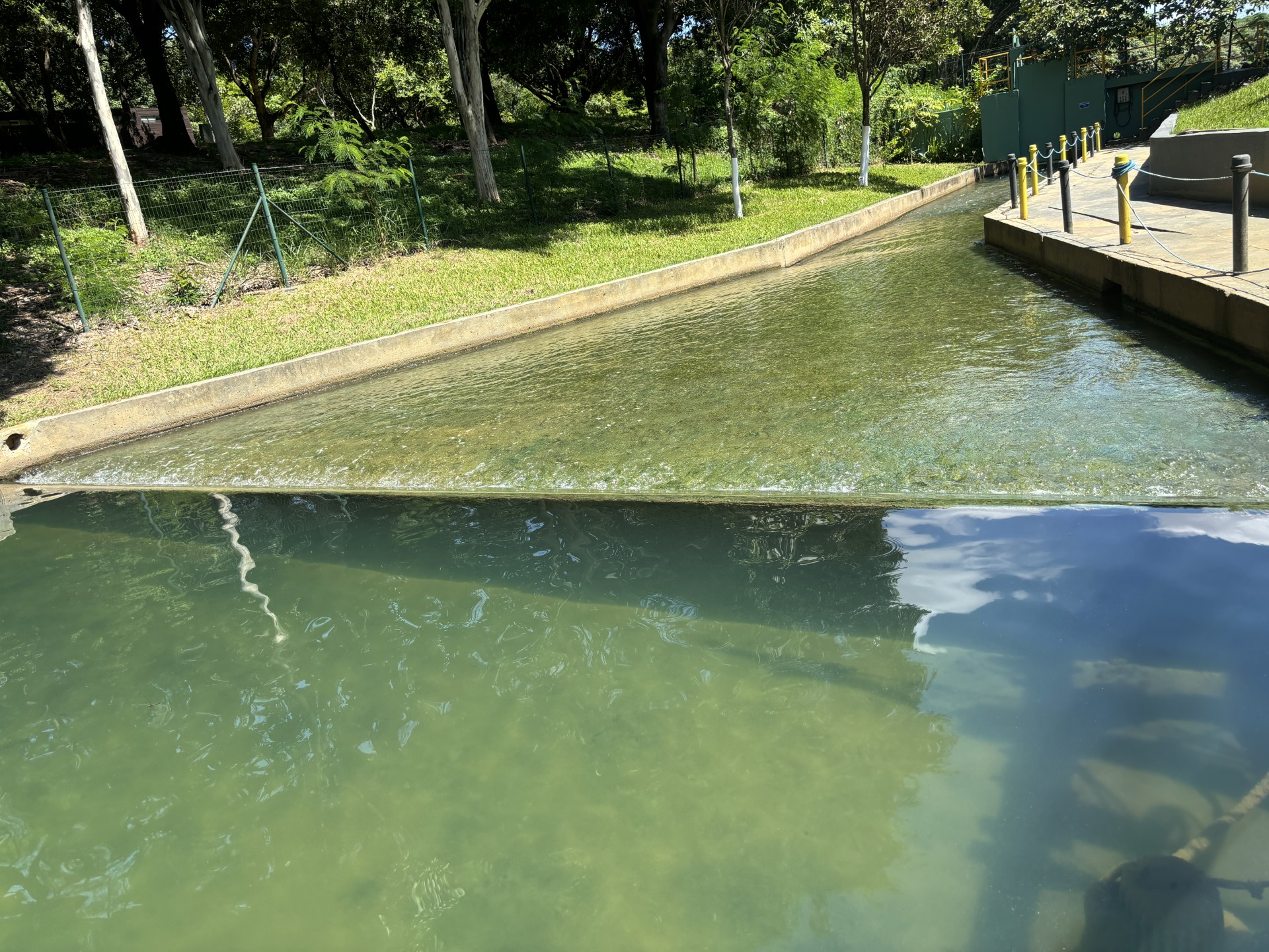 Estação da Copasa trata mais de 70% da água lançada na Lagoa da Pampulha