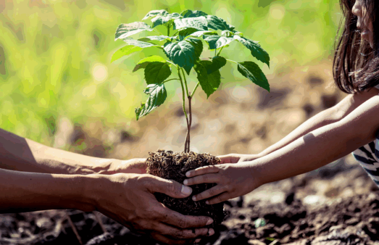 “Ação Ecológica do Colégio Adventista de Montes Claros” no Dia do Meio Ambiente