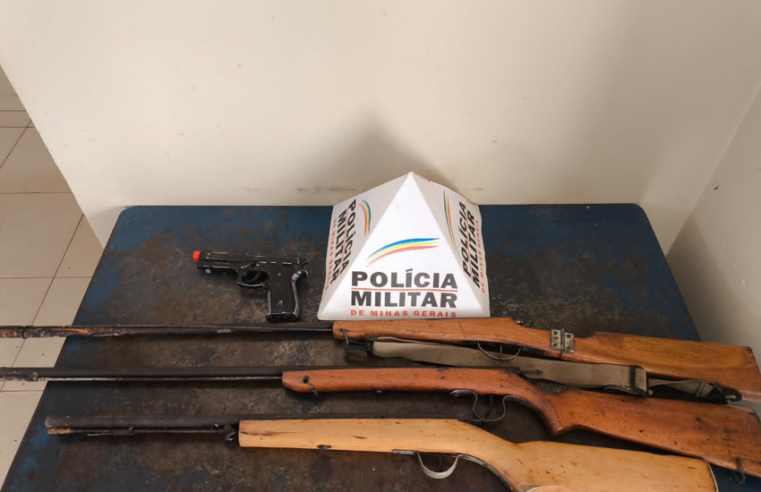 Polícia Militar apreende armas de fogo no Norte de Minas