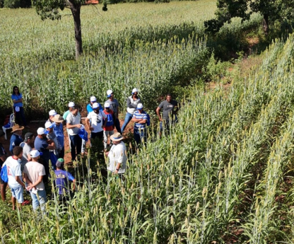 Pequenos produtores rurais participam de Dia de Campo para impulsionar produção agropecuária em MG