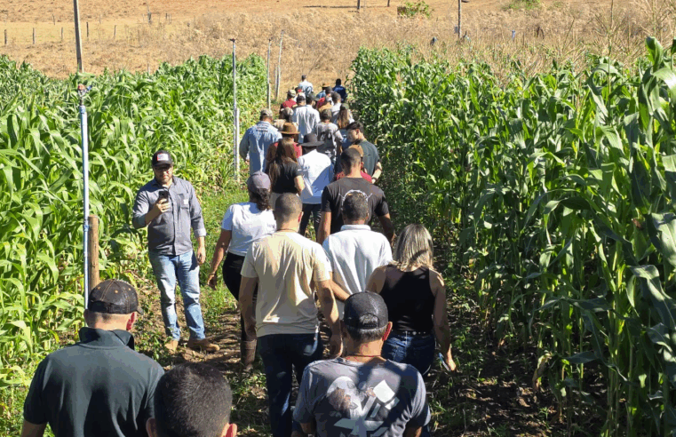 ALYSSON PAOLINELLI | Programa da Prefeitura de Montes Claros foi destaque no “Dia do Campo”, promovido pela Emater