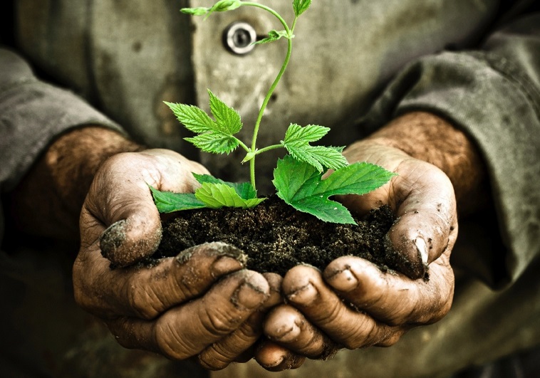 Conservação do solo: uma aliança com os fertilizantes