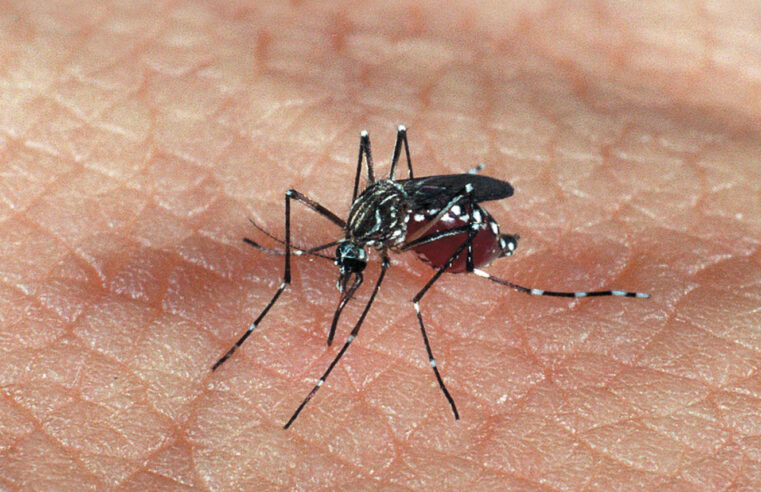 Buritizeiro recebe R$ 50,3 mil e tem oito casos confirmados de dengue