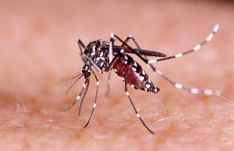 Montes Claros registra primeiro caso de zika vírus