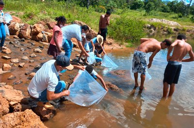Mortandade de peixe no entorno da Usina de Três Marias é denunciado