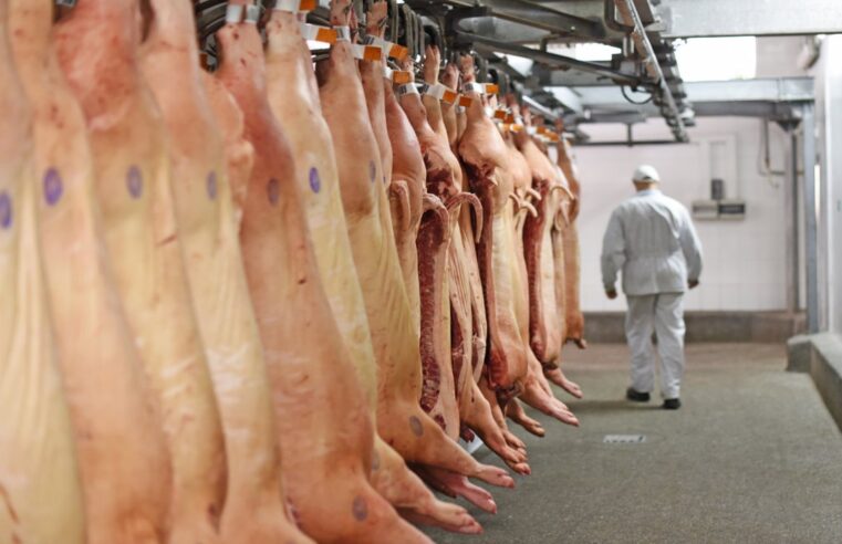 ABRIL | Receita com exportações de carne suína cai quase 17%