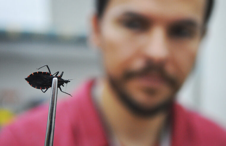 Combate à Doença de Chagas: conscientização e diagnostico precoce são essenciais