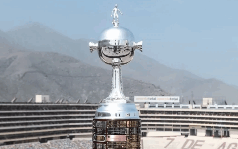 CAMPEONATO BRASILEIRO | A disputa pela última vaga na libertadores agita a reta final do torneio