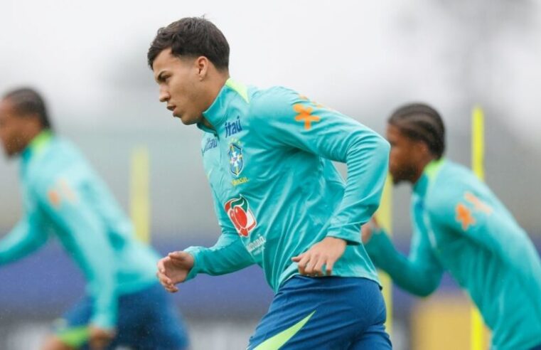 Carência suprida? Dupla sana exigência de Jardim no Cruzeiro