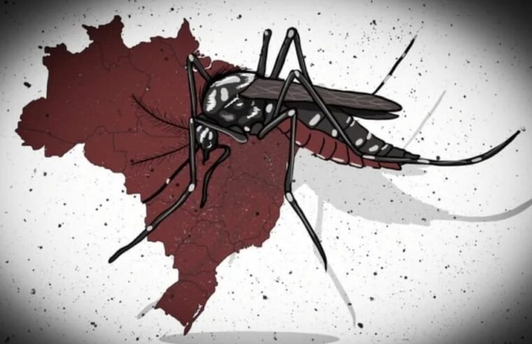 Neste ano a dengue já causou prejuízos de R$ 28 bilhões ao Brasil