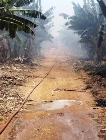 Incêndio destrói sete hectares de uma fazenda, em Janaúba