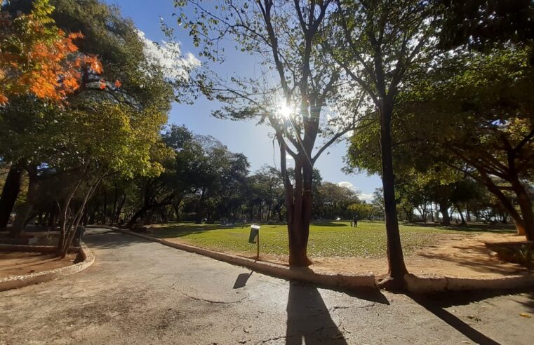 Prefeitura de Montes Claros anuncia novo parque e reforça cuidado com áreas verdes
