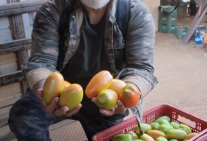 Respeite o agro norte mineiro!