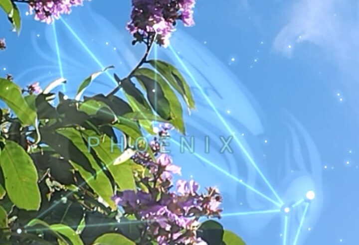 Céu da Semana (de 3/3/26 a 8/3/26)