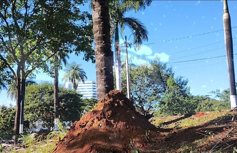 Céu da Semana (de 27/4/26 a 4/5/26)