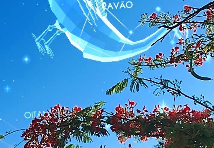 Céu da Semana (do dia 1º/12/25 ao dia 7/12/25)