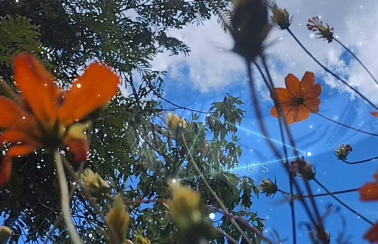 Céu da Semana (de 9/3/26 a 15/3/26)