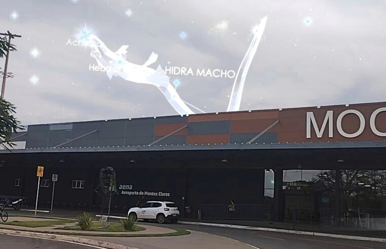 Céu da Semana (do dia 4/11/25 ao dia 9/11/25)