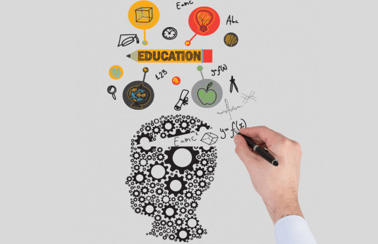 A neuroeducação no processo do aprendizado