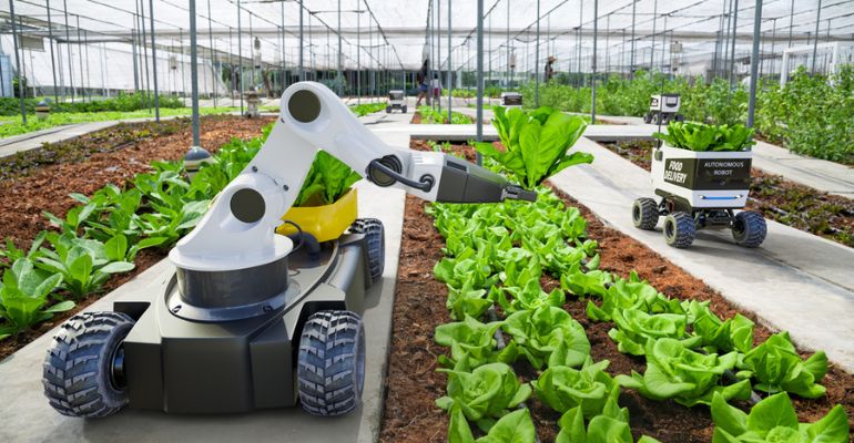 Robótica no agronegócio: cobots contribuem com a transformação da área