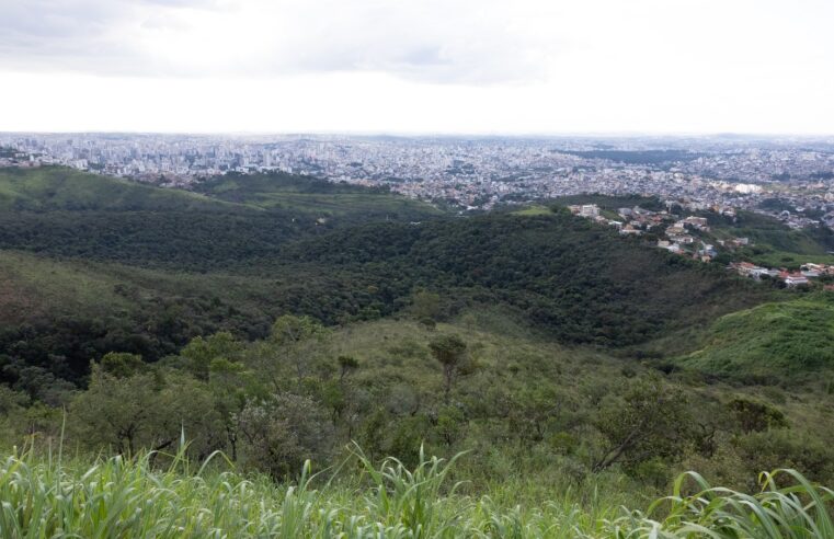 ALMG promove audiência pública para fortalecer articulação em defesa dos direitos da natureza