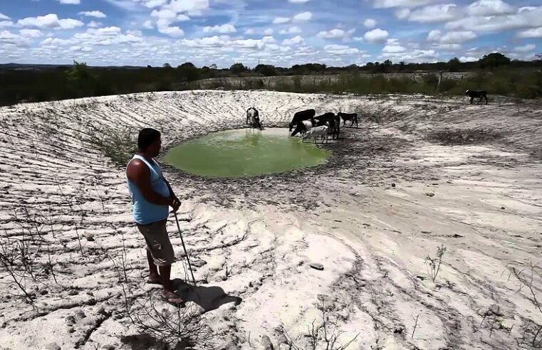 AMAMS recebe relatório que aponta prejuízo de R$ 875 milhões na agropecuária do Norte de Minas Em 2025