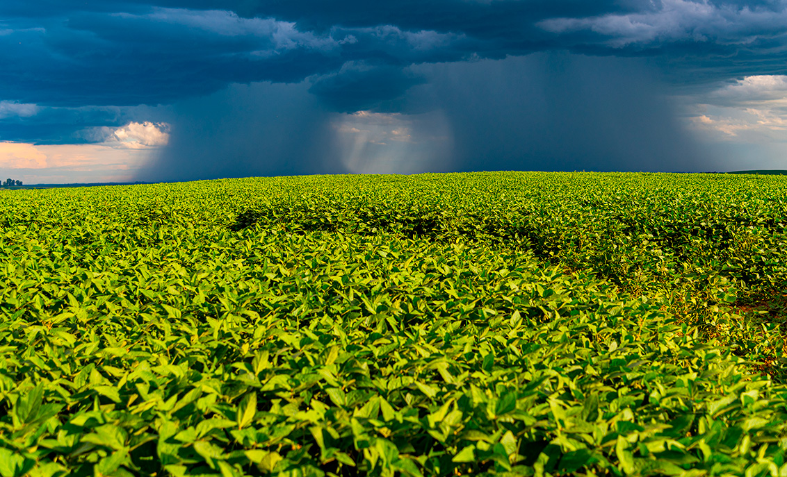 Governo deve destinar R$ 2 bilhões para proteção de agricultores contra eventos climáticos