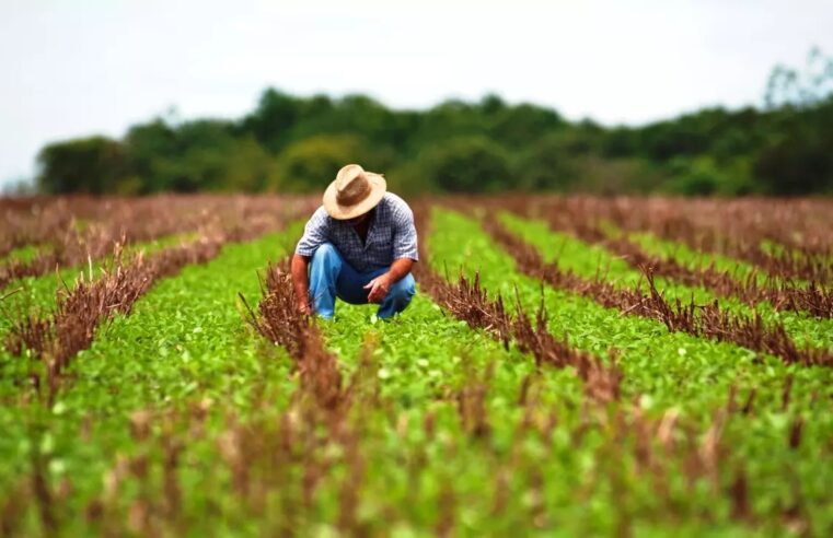 CRÉDITO RURAL | CMN atende pleito da AMAMS e prorroga prazos para exigências ambientais