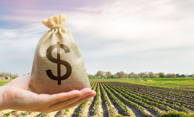 INVESTIMENTOS NO AGRO | Plano Safra 24/25 Atinge R$ 508,59 Bilhões