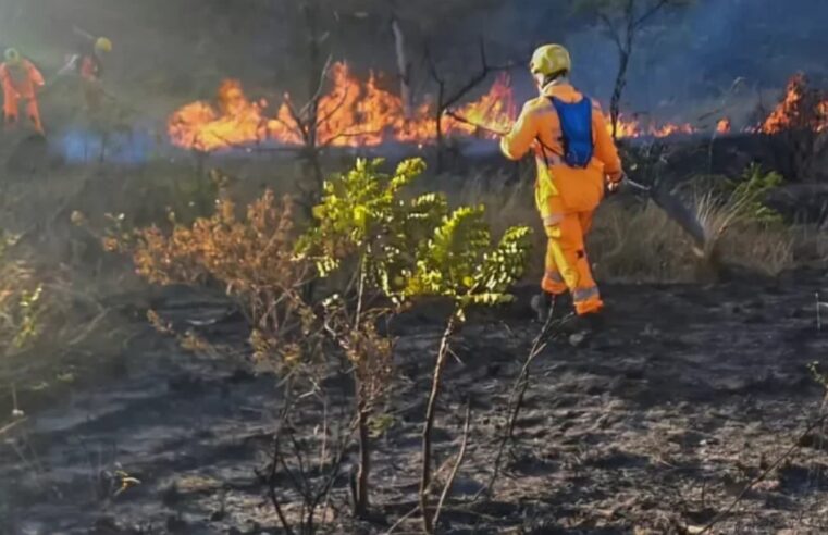 Minas Gerais intensifica combate a incêndios florestais com 687 investigações concluídas e R$ 10 milhões em multas