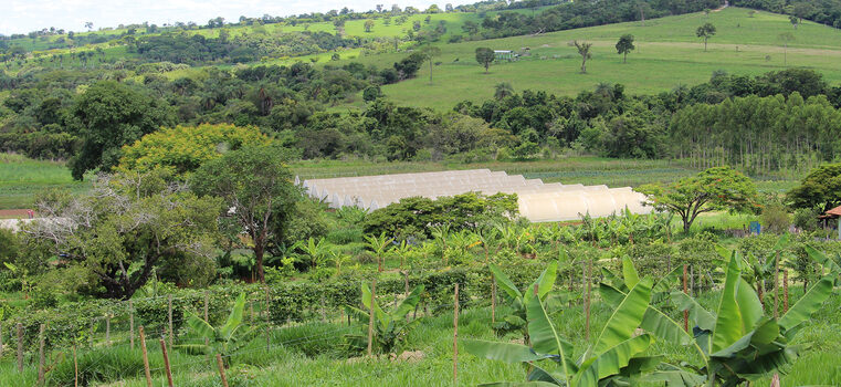 Plataforma do Cadastro Ambiental Rural já analisou mais de 1 milhão de imóveis em Minas